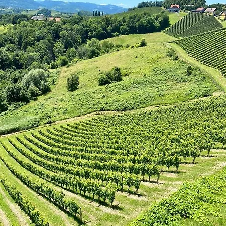 Weinberg Apartamento