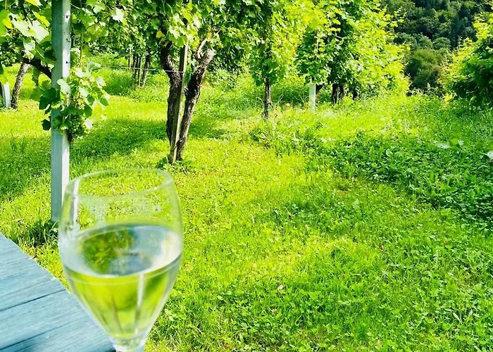 Weinberg 里欧查赫