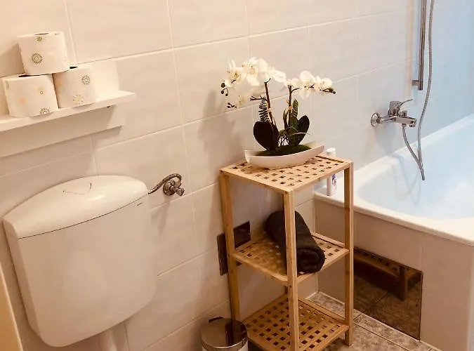 公寓 Weinberg 里欧查赫