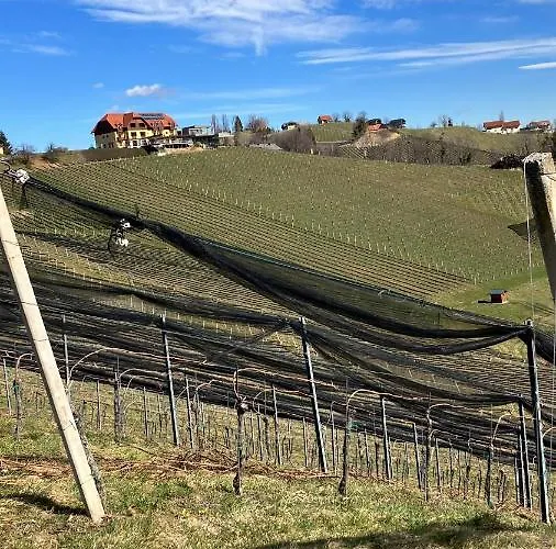 Weinberg 里欧查赫